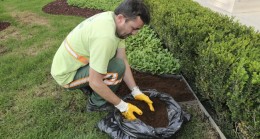 Bir Atığın Yolculuğu: Çöpten Sofraya Geri Dönüşüm