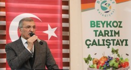 ARICILIKTAN TIBBİ VE AROMATİK BİTKİLERE BEYKOZ TARIM ÇALIŞTAYI BAŞLADI
