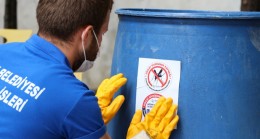 Sivrisinekle Vatandaş-Belediye Topyekûn Mücadele