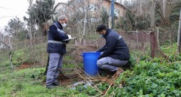 Larvaya Karşı Vatandaşlarla Kültürel Mücadele