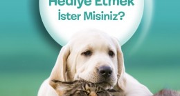 BEYKOZ’UN SEVİMLİ CAN DOSTLARI PROJESİ BAŞLADI