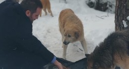 AK PARTİ BEYKOZ CAN DOSTLARIN YANINDA!