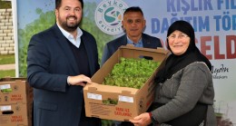 BEYKOZLU ÇİFTÇİYE 400 BİN FİDE DESTEĞİ