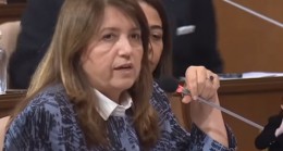 Demirel’den Hasanoğlu’na :“Beykoz Riva Deresinin ıslahı Devlet Su İşlerine aittir”