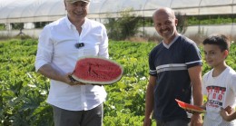 BEYKOZ’DA ALIM GARANTİLİ HASAT ZAMANI