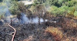 Beykoz Göztepe’de orman yangını