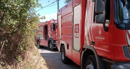 Beykoz’da 2 günde 2. ormanlık yangını