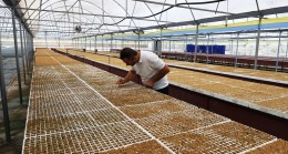 BEYKOZ’DA FİDE DESTEĞİ YÜZDE 25 ARTTI 