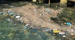 Beykoz Sahili’nde çöpler denizi kapladı