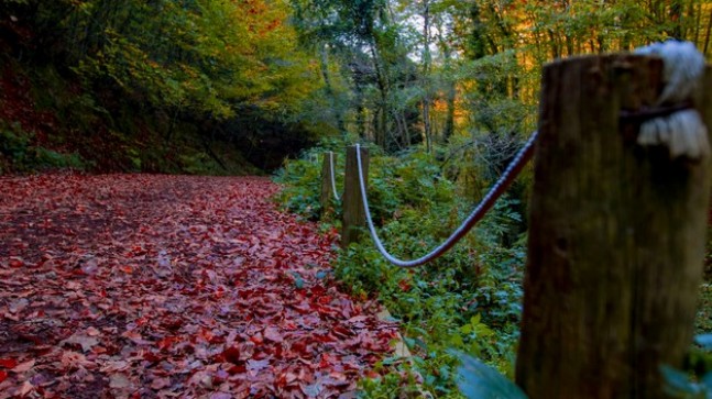 Kasım’da Beykoz Başka Güzel