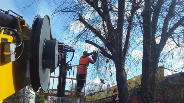 Beykoz İlkbahara Özenle Hazırlanıyor