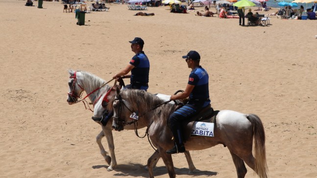 Riva Atlı Zabıtalara Emanet