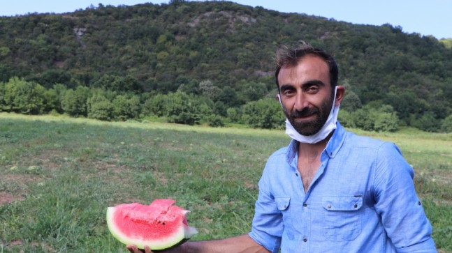 BEYKOZ’DA KARPUZ HASADI BAŞLADI