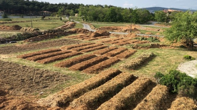 Dünyaya Doğal Bir Armağan “Beykoz Ekolojik Park” Kuruluyor