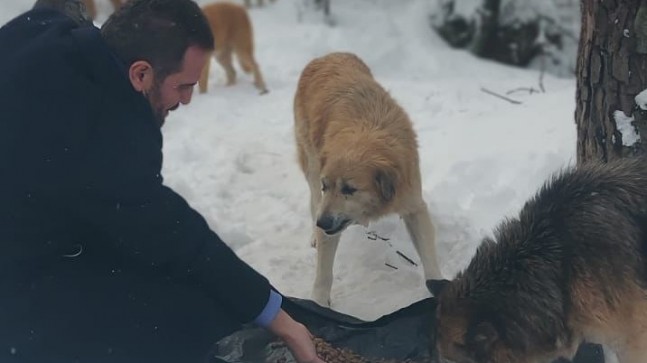 AK PARTİ BEYKOZ CAN DOSTLARIN YANINDA!