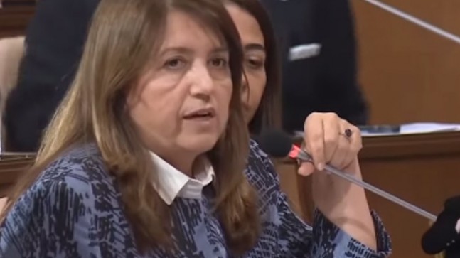 Demirel’den Hasanoğlu’na :“Beykoz Riva Deresinin ıslahı Devlet Su İşlerine aittir”