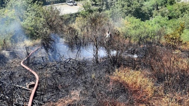 Beykoz Göztepe’de orman yangını