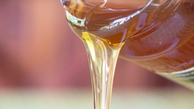 Beykoz Bal Üretimiyle İstanbul’da Şampiyon