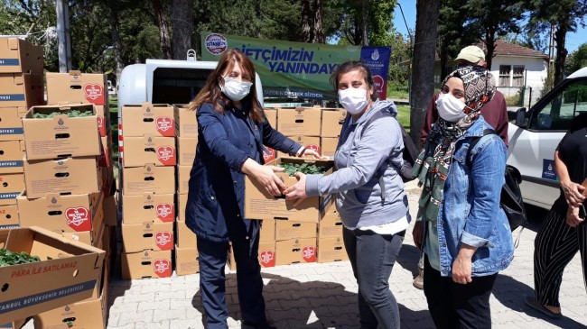 İBB Beykoz’da fide dağıtımına başladı