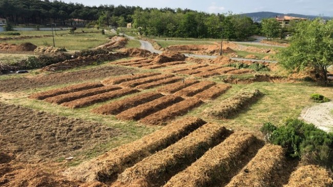 Dünyaya Doğal Bir Armağan “Beykoz Ekolojik Park” Kuruluyor