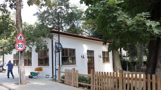 Akbaba’nın Meşhur Çınarlı Köy Kahvesi Yenileniyor