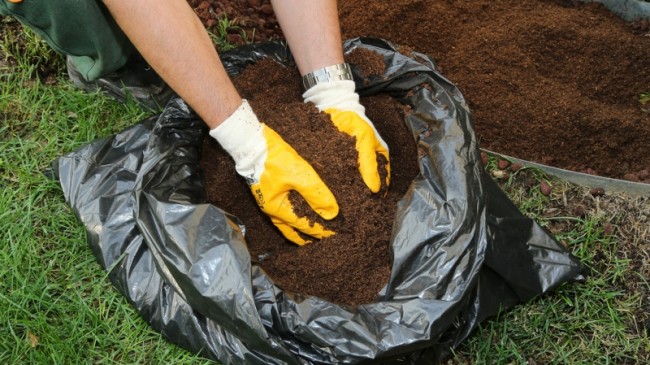 ÇEVRECİ “ARDIÇ SOFRASI” PROJESİ AVRUPA YEREL DEMOKRASİ HAFTASI’NDA
