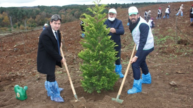 AK PARTİ BEYKOZ HATIRA ORMANI OLUŞTURDU