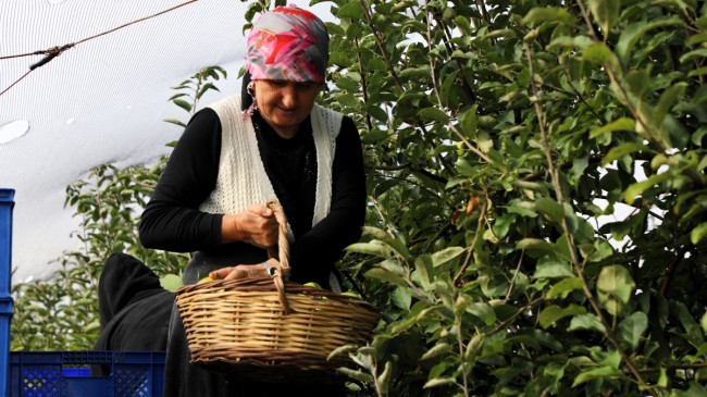 Beykoz’da Tarıma Kadın Eli Güç Veriyor