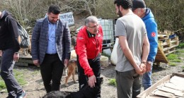 Murat Aydın’dan Mahmutşevketpaşa köyüne hayvan barınağı müjdesi