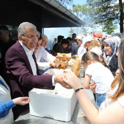 karlitepe-mesiresi(1)