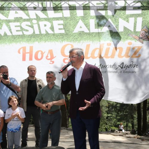 karlitepe-mesiresi(10)