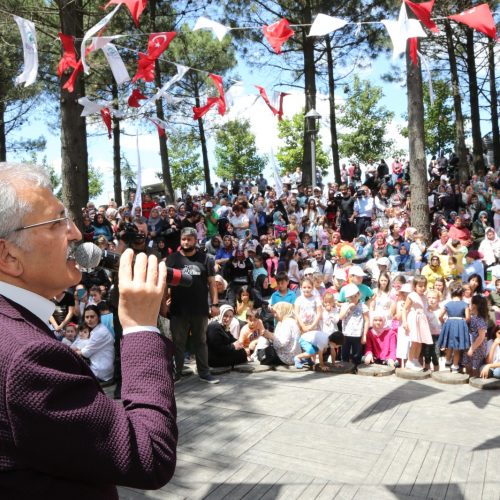 karlitepe-mesiresi(13)