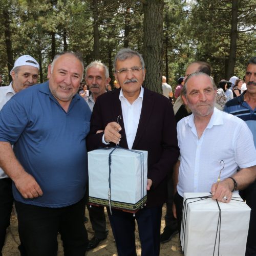 karlitepe-mesiresi(4)