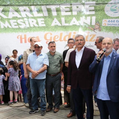 karlitepe-mesiresi(5)