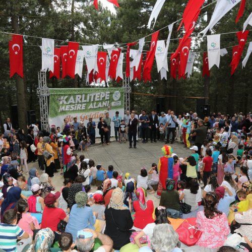 karlitepe-mesiresi(6)