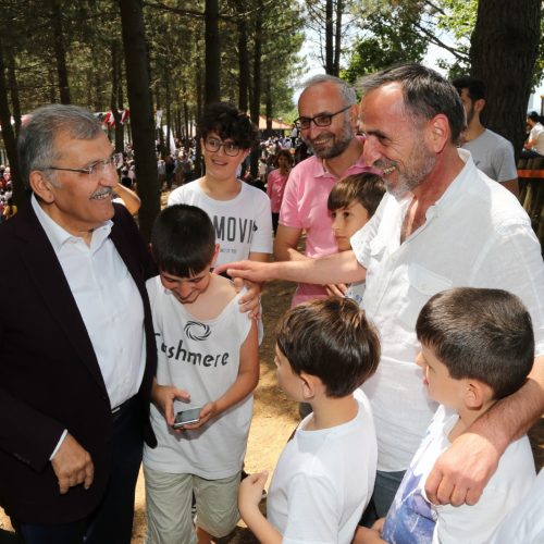 karlitepe-mesiresi(7)