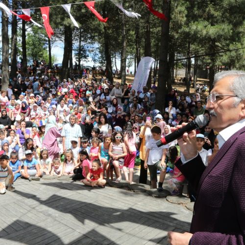 karlitepe-mesiresi(9)