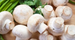 Mantar yiyerek yaza fit girin