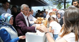 Beykoz’un Cennet Köşelerinden Karlıtepe Mesiresi Açıldı