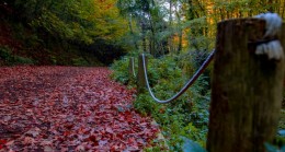 Kasım’da Beykoz Başka Güzel