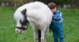 Beykoz’da Atla Terapi Dönemi Başlıyor