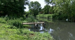 RİVA DERESİ İLE İLGİLİ SIK SORULAN SORULAR