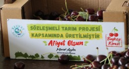 BEYKOZ’DA DEV TARIM ATAĞI