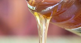 Beykoz Bal Üretimiyle İstanbul’da Şampiyon