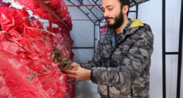 MÜHENDİSLİK KARİYERİNİ YARIDA BIRAKTI, BEYKOZ’DA MANTAR ÜRETİMİNE BAŞLADI