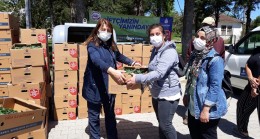 İBB Beykoz’da fide dağıtımına başladı