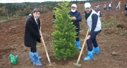 AK PARTİ BEYKOZ HATIRA ORMANI OLUŞTURDU