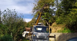 Beykoz’da Budama Mevsimi Başladı