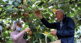 BEYKOZ’DA KENT TARIMI ATAĞA GEÇTİ