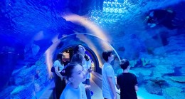 Beykozlu Gençler Bu Yaz Çok Şanslı